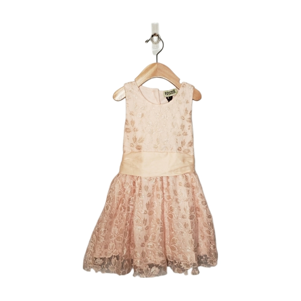 NWT Sophie Catalou Size 4 Toddler Girl Pink Floral Lace Party Dress